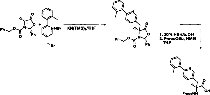 Figure B2005800295435D01031