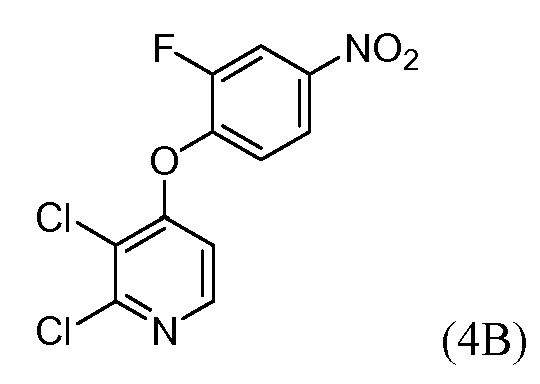 Figure 112010053812554-pct00100