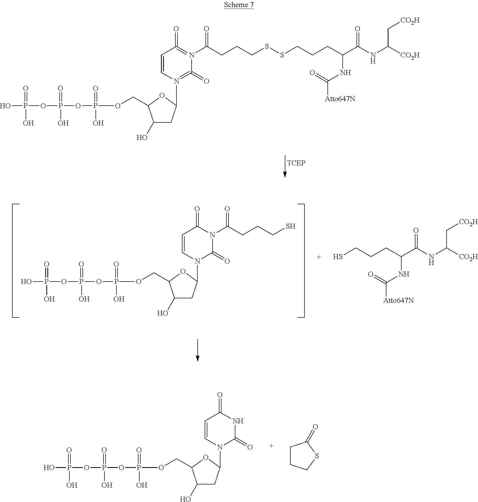Figure US09163053-20151020-C00019