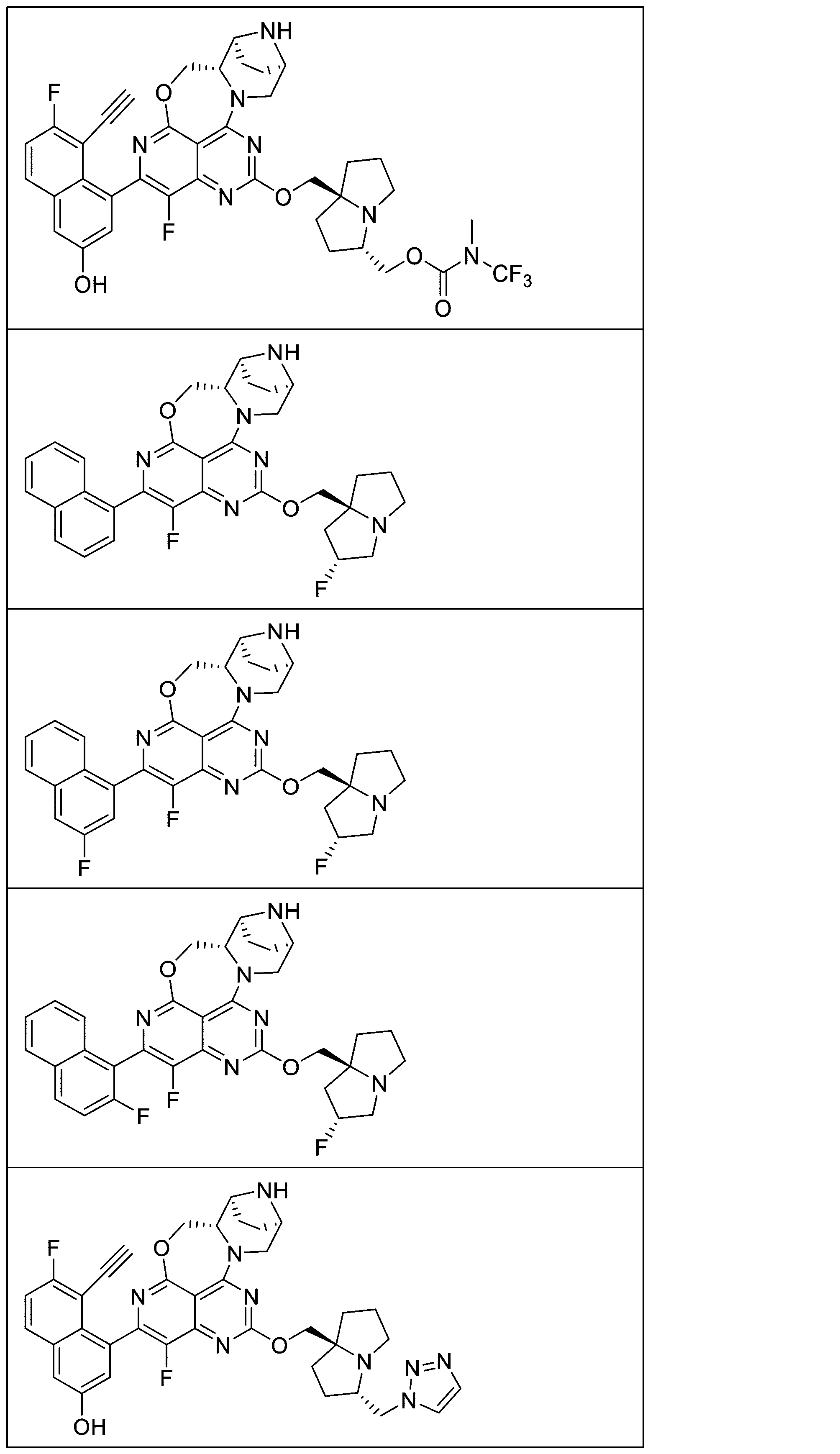 Figure 2025513258000957