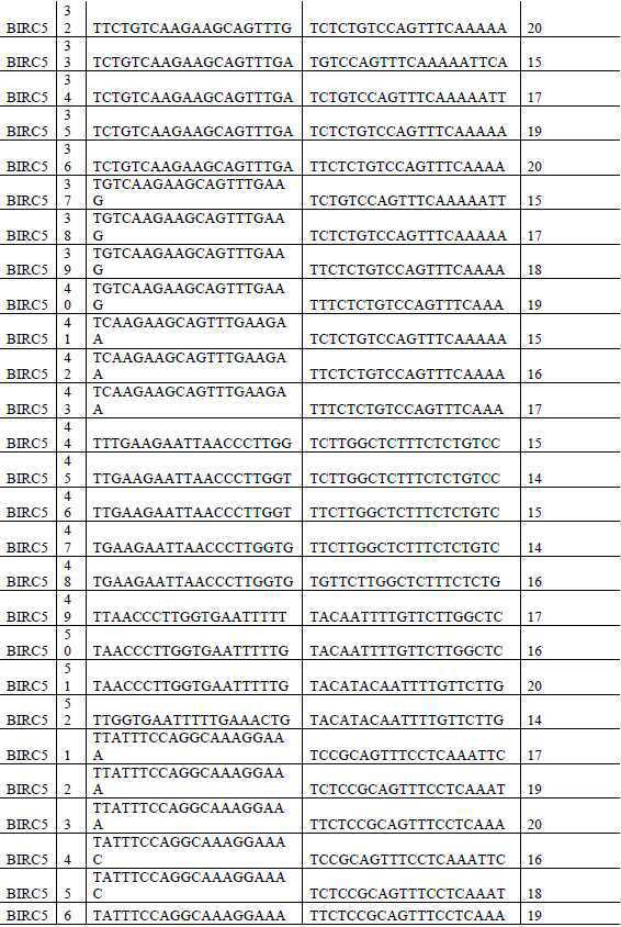 Figure 112020056955871-pat00007