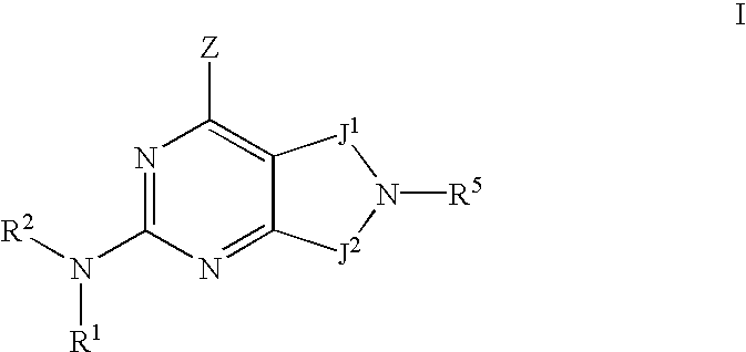 Figure US20030092908A1-20030515-C00002