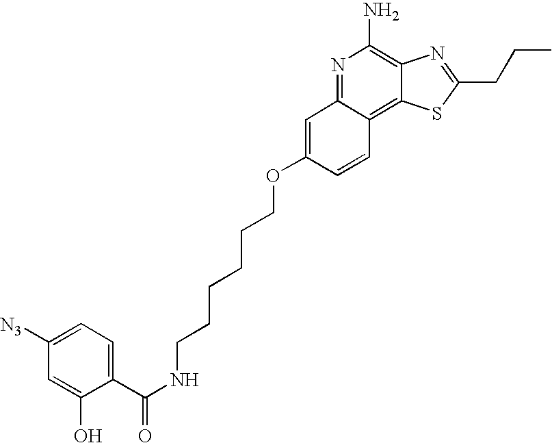 Figure US20060142202A1-20060629-C00010