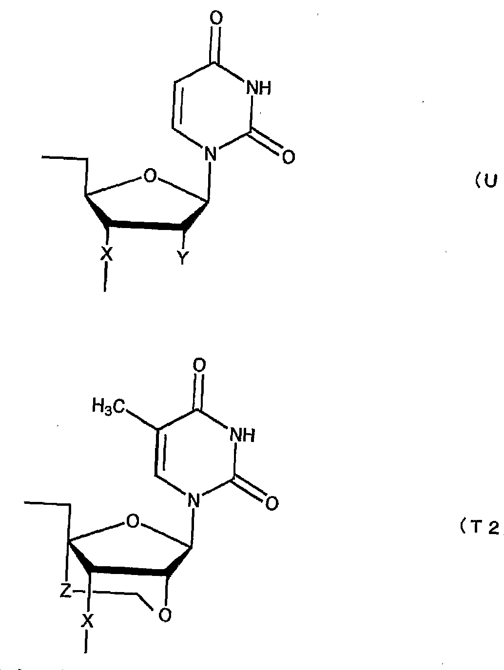 Figure imgf000091_0001