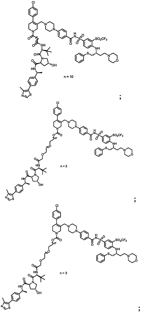 Figure FDA0003293294500000171