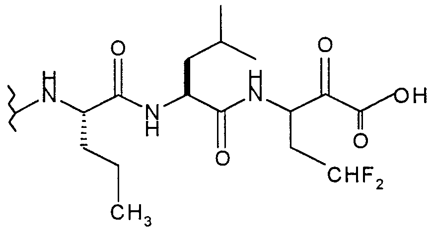 Figure imgf000022_0003
