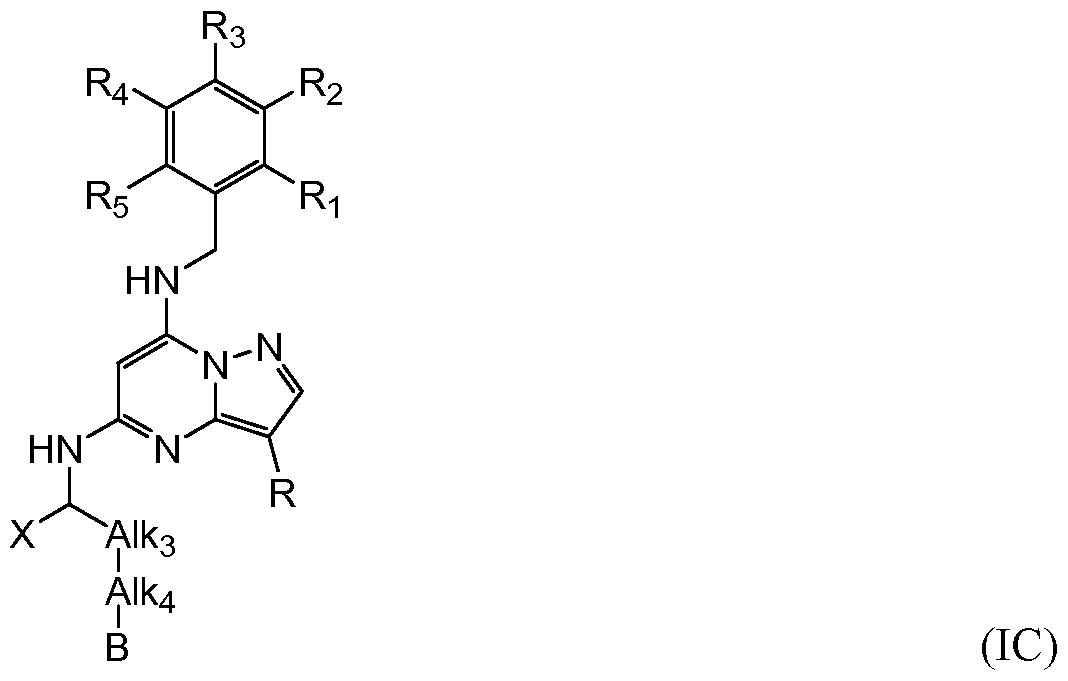 Figure imgf000020_0001