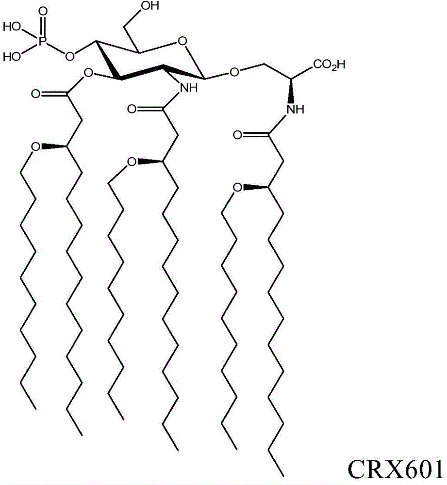 Figure BDA0003392355290000391
