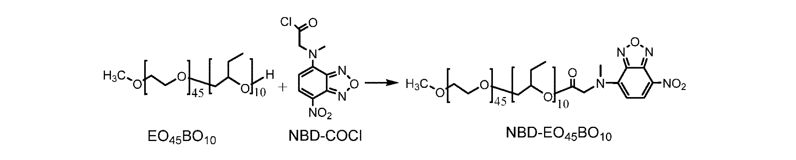 Figure 0007629074000050