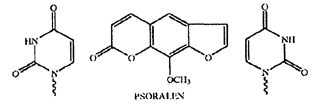 Figure imgf000010_0001