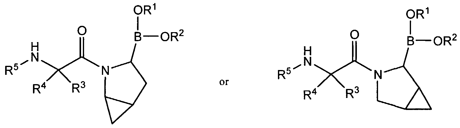 Figure imgf000027_0002