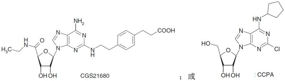 Figure BDA0003556351370000351
