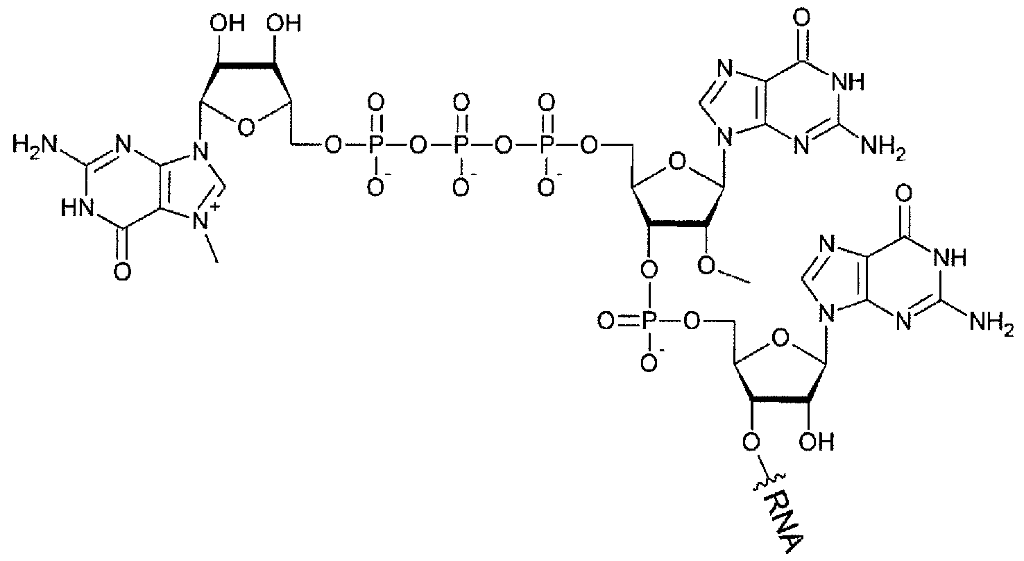 Figure imgf000042_0002