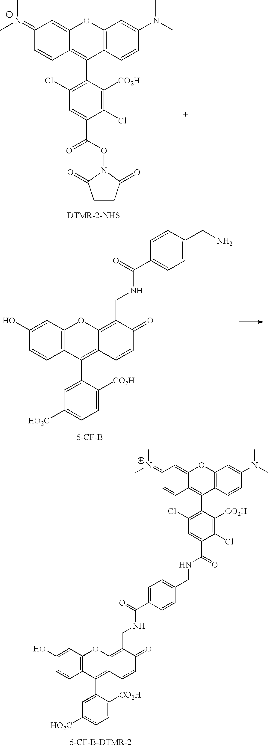 Figure US20070154927A1-20070705-C00124
