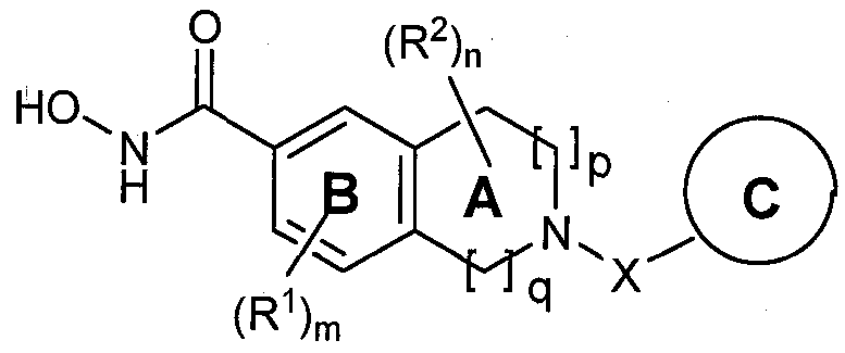 Figure imgf000015_0001