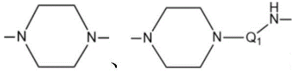 Figure FDA0003131227290000022