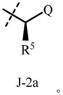 Figure BDA0002715387360000051