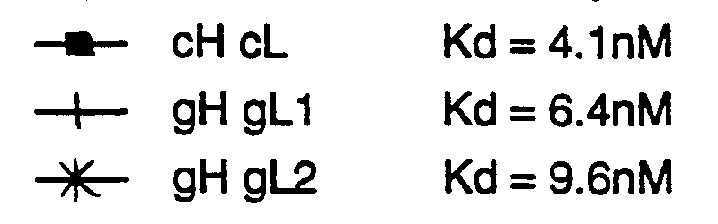 Figure imgf000020_0005