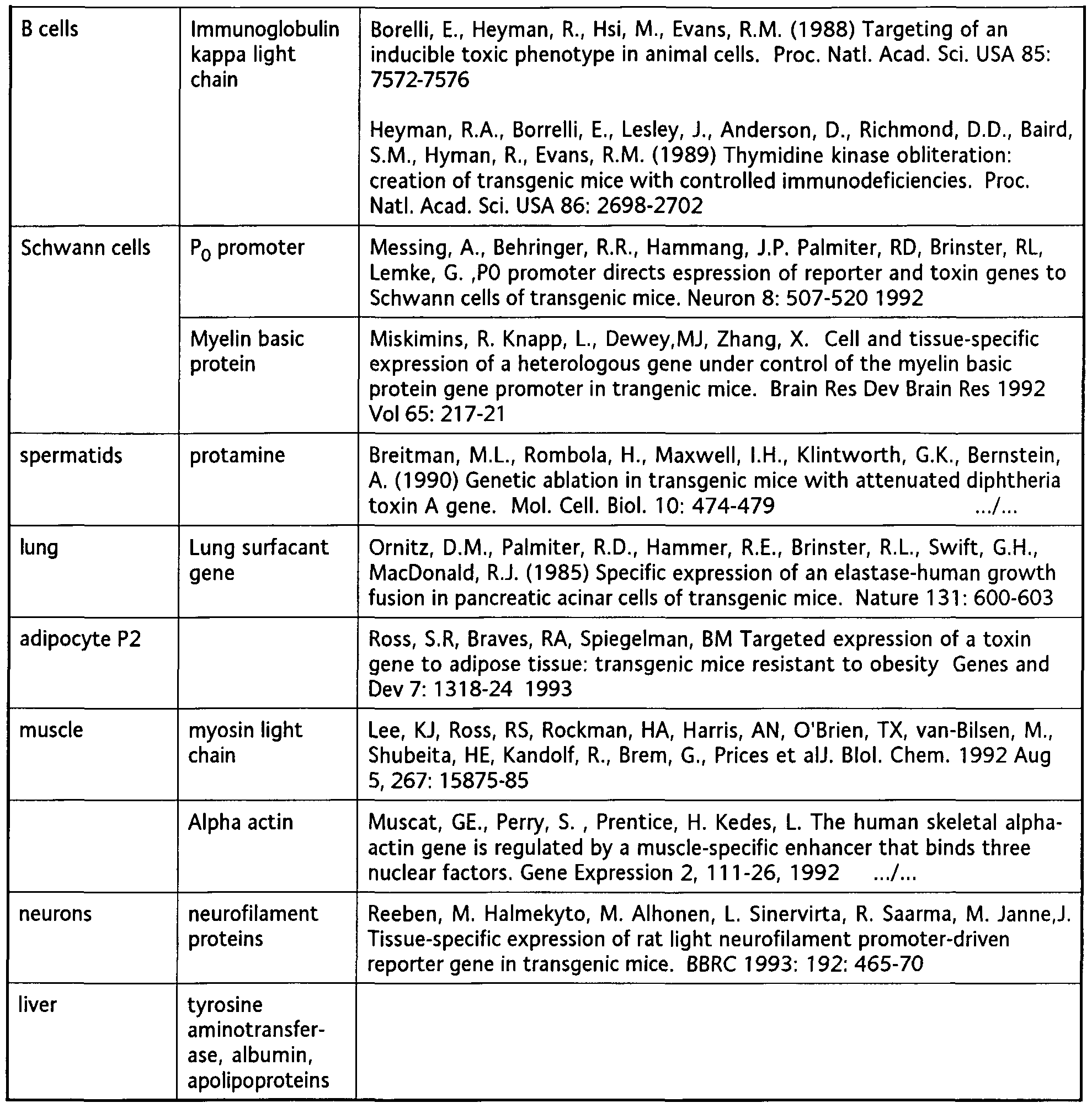 Figure imgf000050_0001