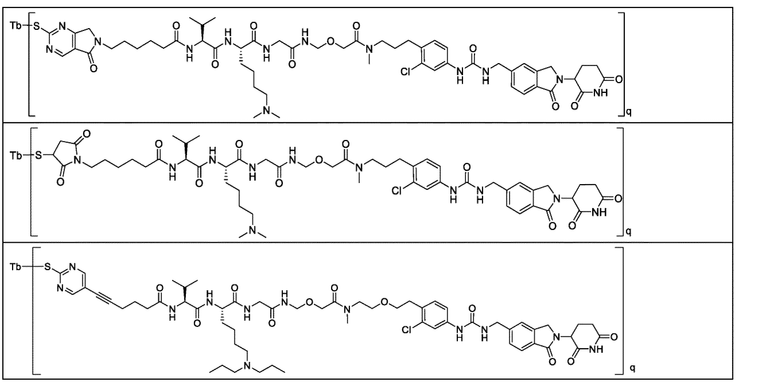 Figure 2025516873000053