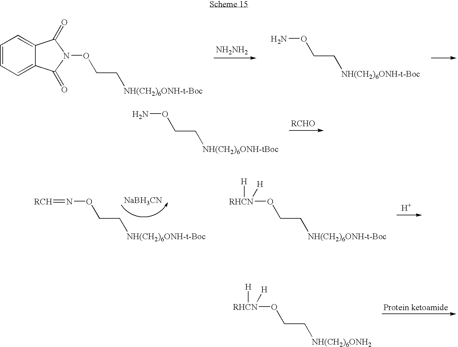 Figure US20100099649A1-20100422-C00028