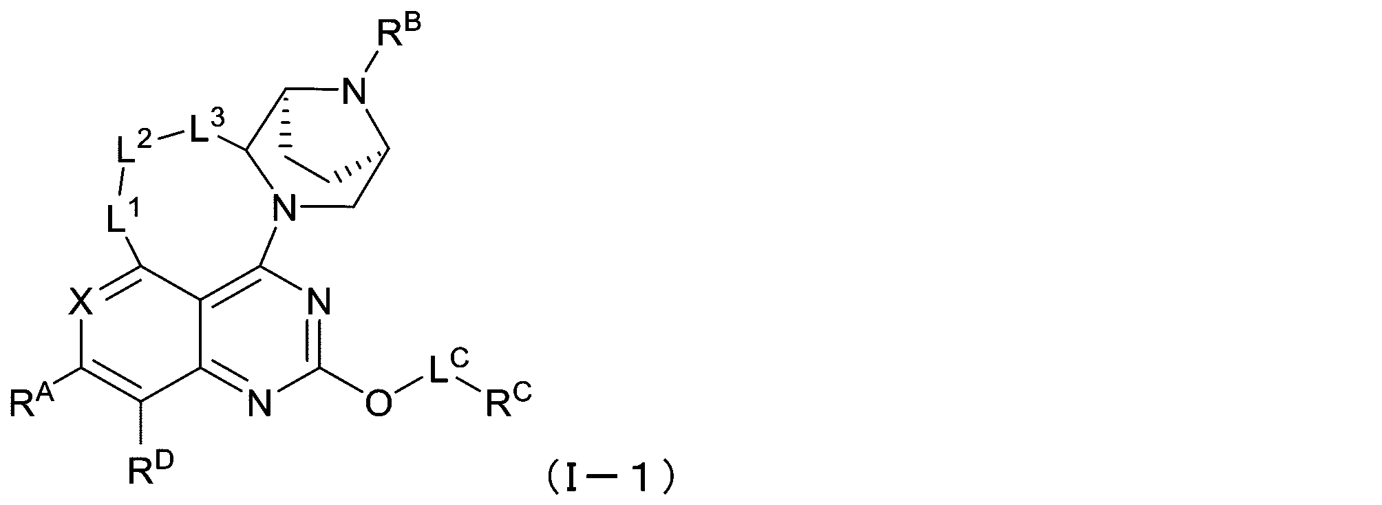 Figure 2025513258000019