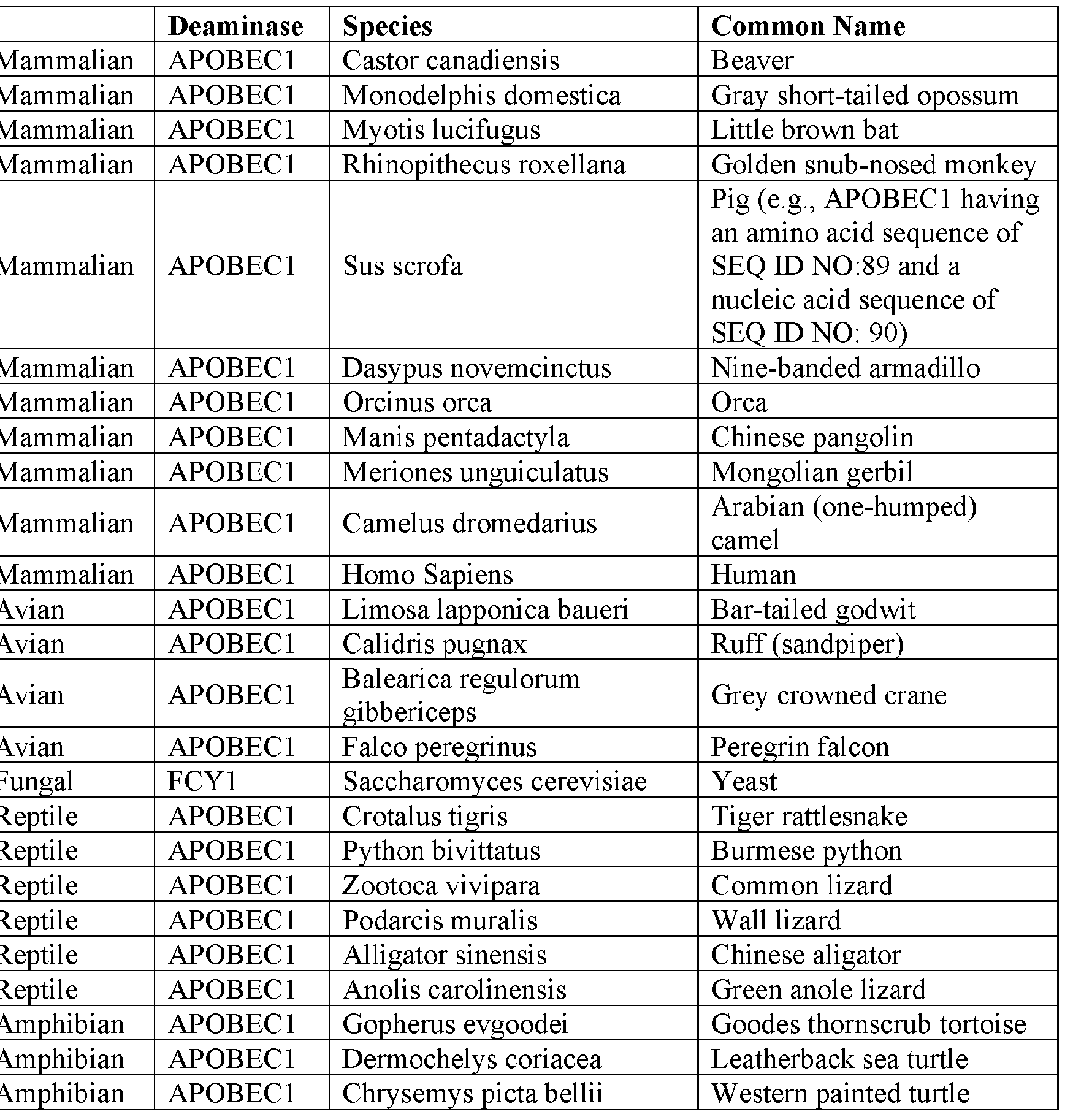 Figure imgf000056_0001