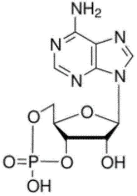 Figure BDA0002373950220000553