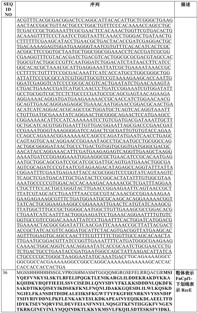 Figure BDA0002550795540001261