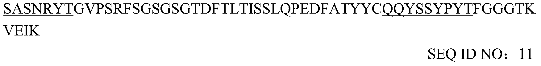 Figure PCTCN2016112075-appb-000017