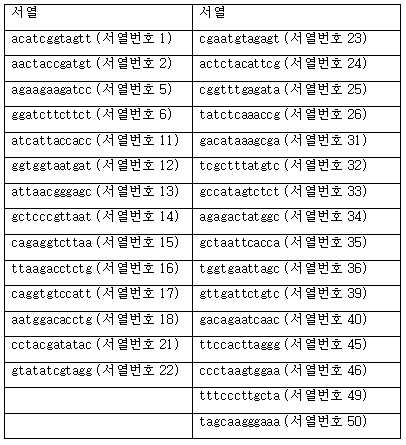 Figure 112015097761145-pct00035