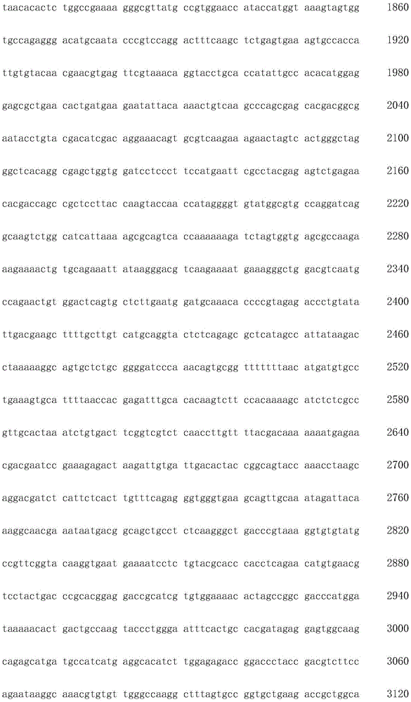 Figure IDA0002872168960000551