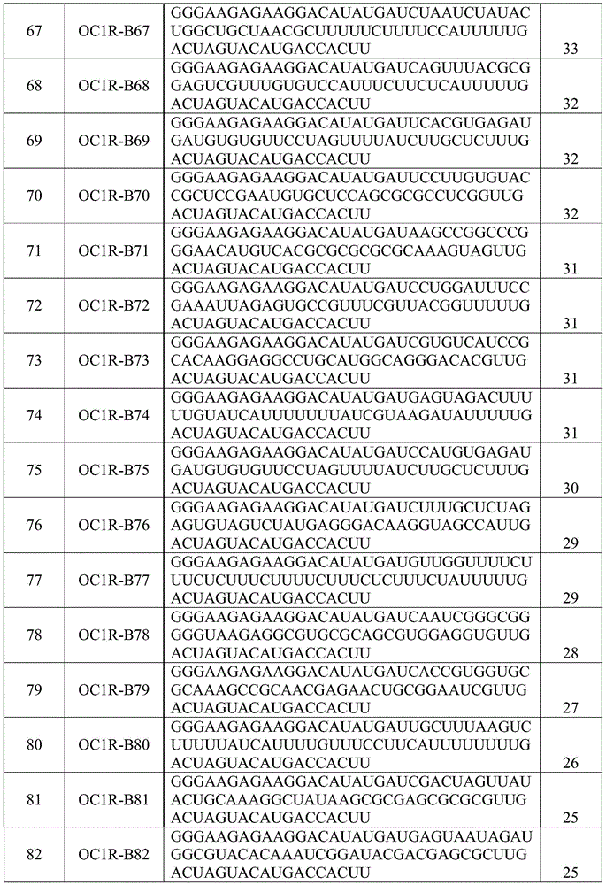 Figure BDA0002402678590000441