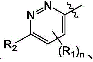 Figure BDA0004113614020001447