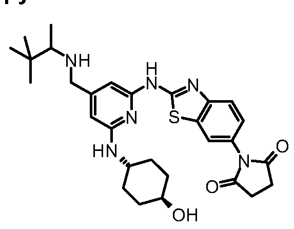 Figure imgf000148_0001