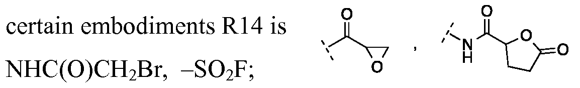 Figure imgf000029_0001