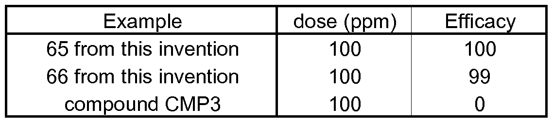 Figure imgf000079_0002