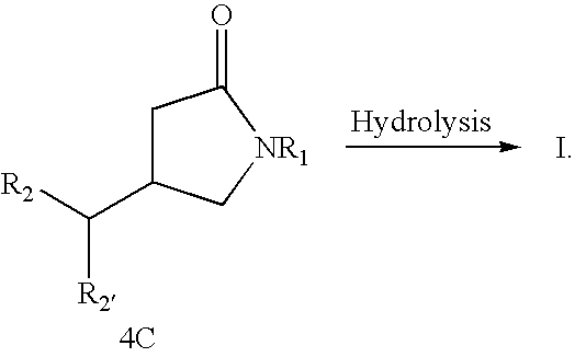 Figure US20030225149A1-20031204-C00019
