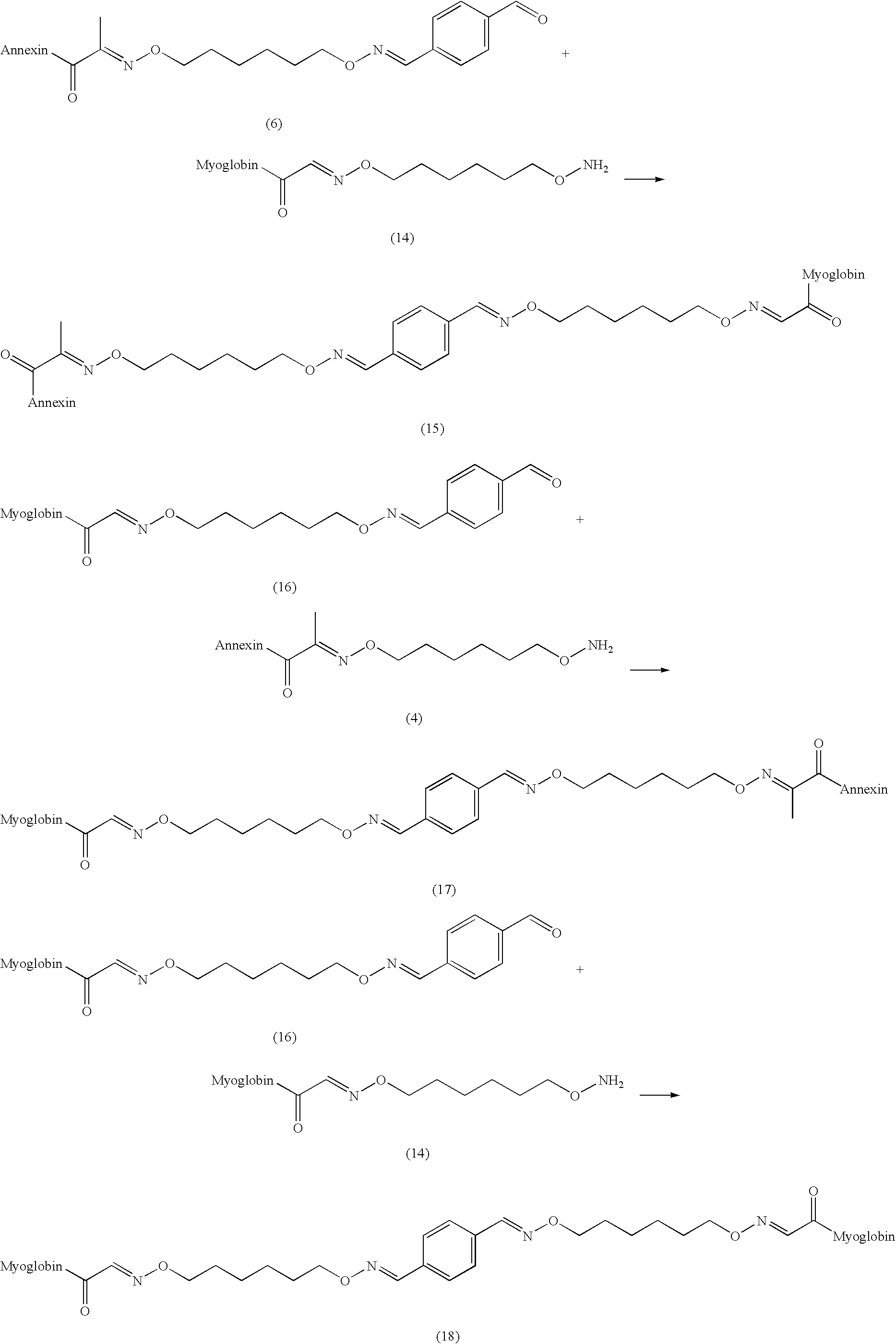 Figure US20100099649A1-20100422-C00041