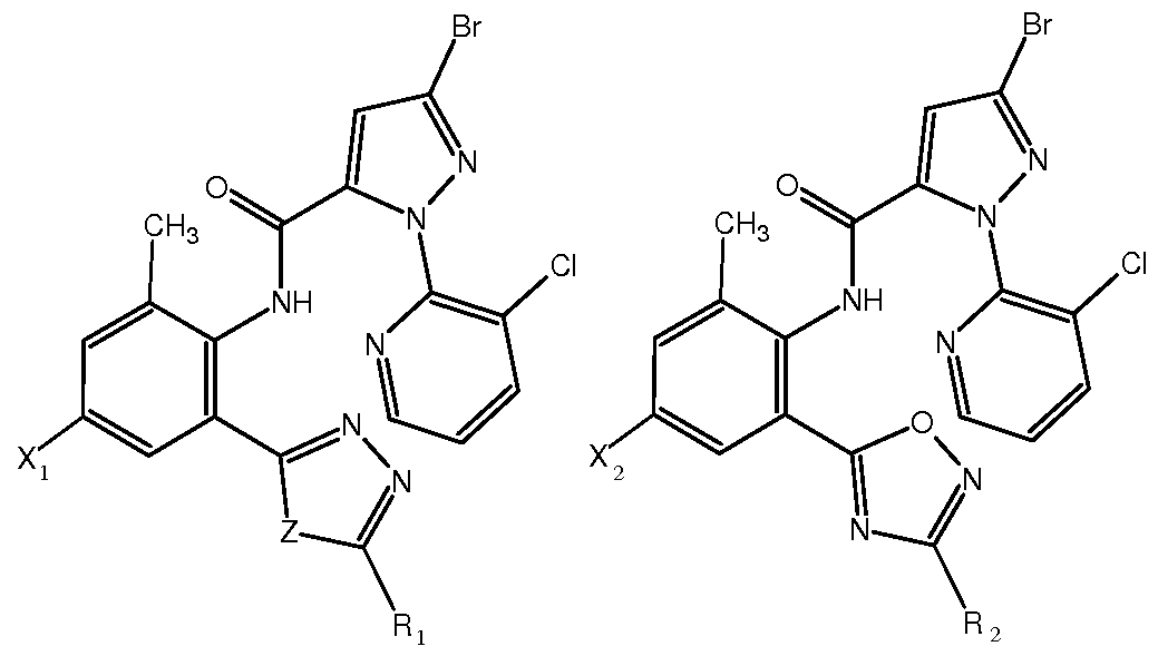 Figure imgf000003_0001