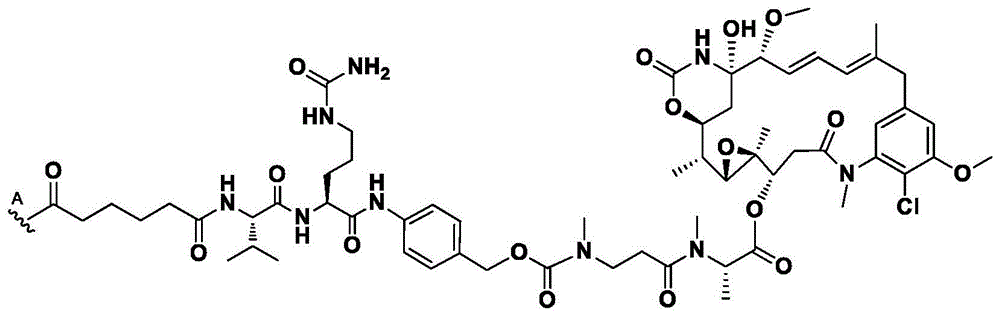 Figure BDA0003817518590000591