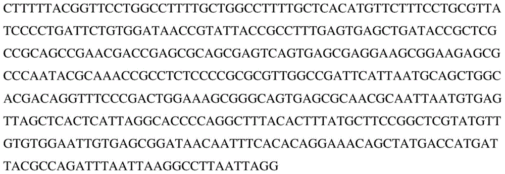 Figure BDA0004042604680000481