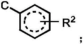 Figure BDA0003101608300000043