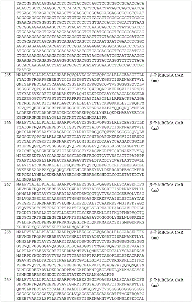 Figure BDA0003980595070001701