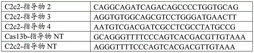 Figure BDA0002313867470002921