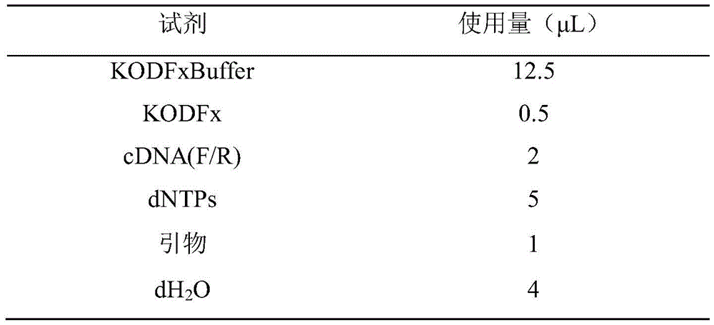 Figure BDA0002586516870000021