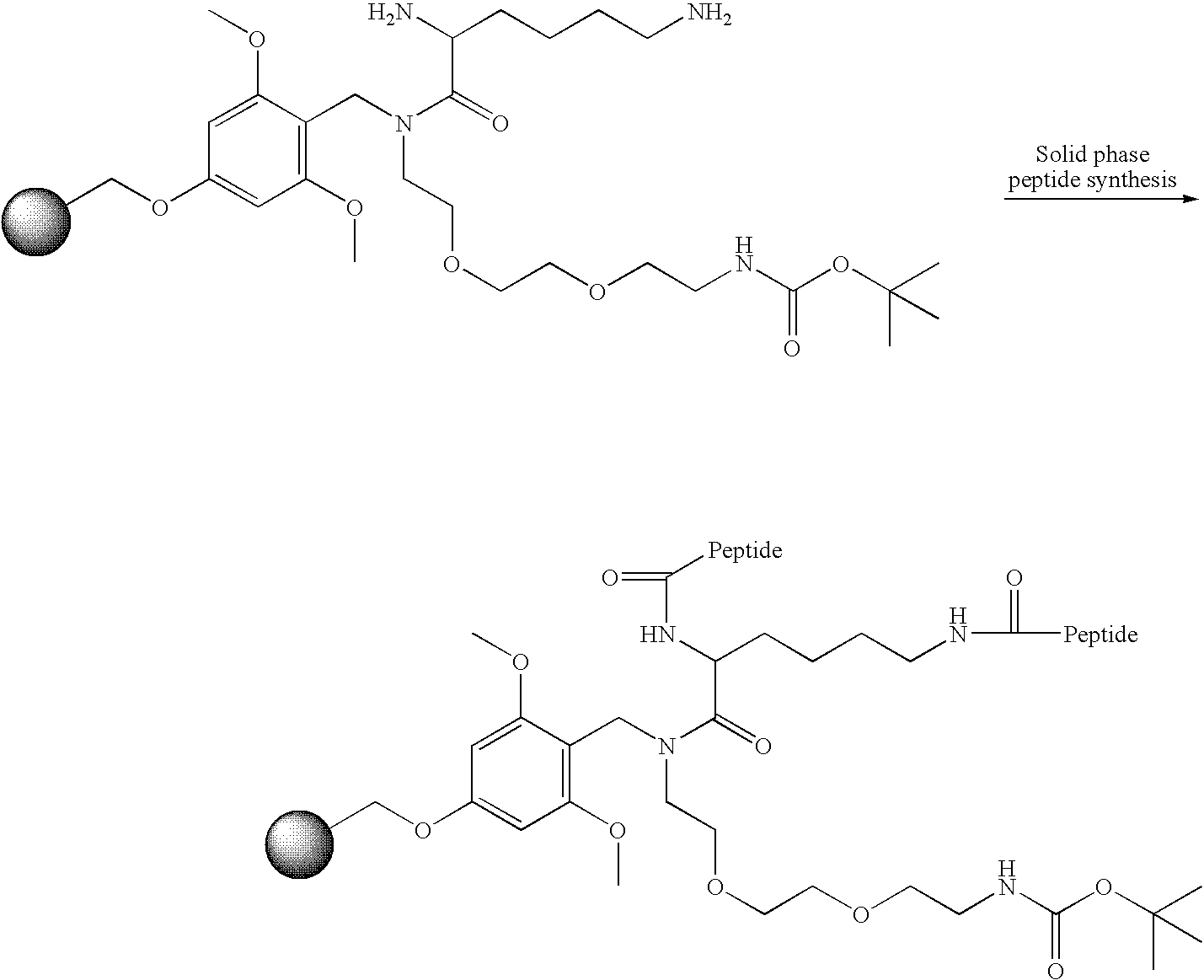 Figure US20060040858A1-20060223-C00052