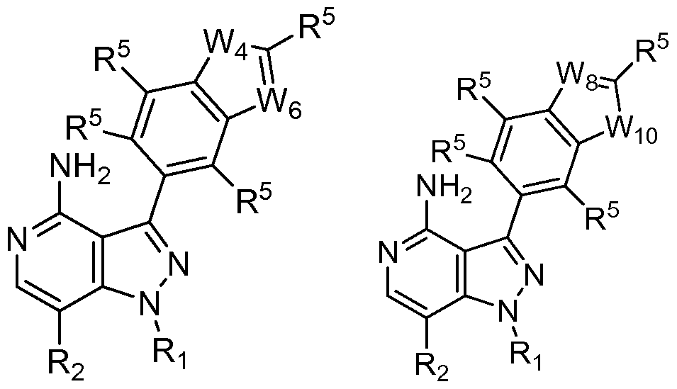 Figure imgf000006_0002