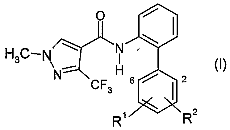 Figure imgf000002_0001