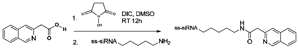 Figure imgf000176_0002